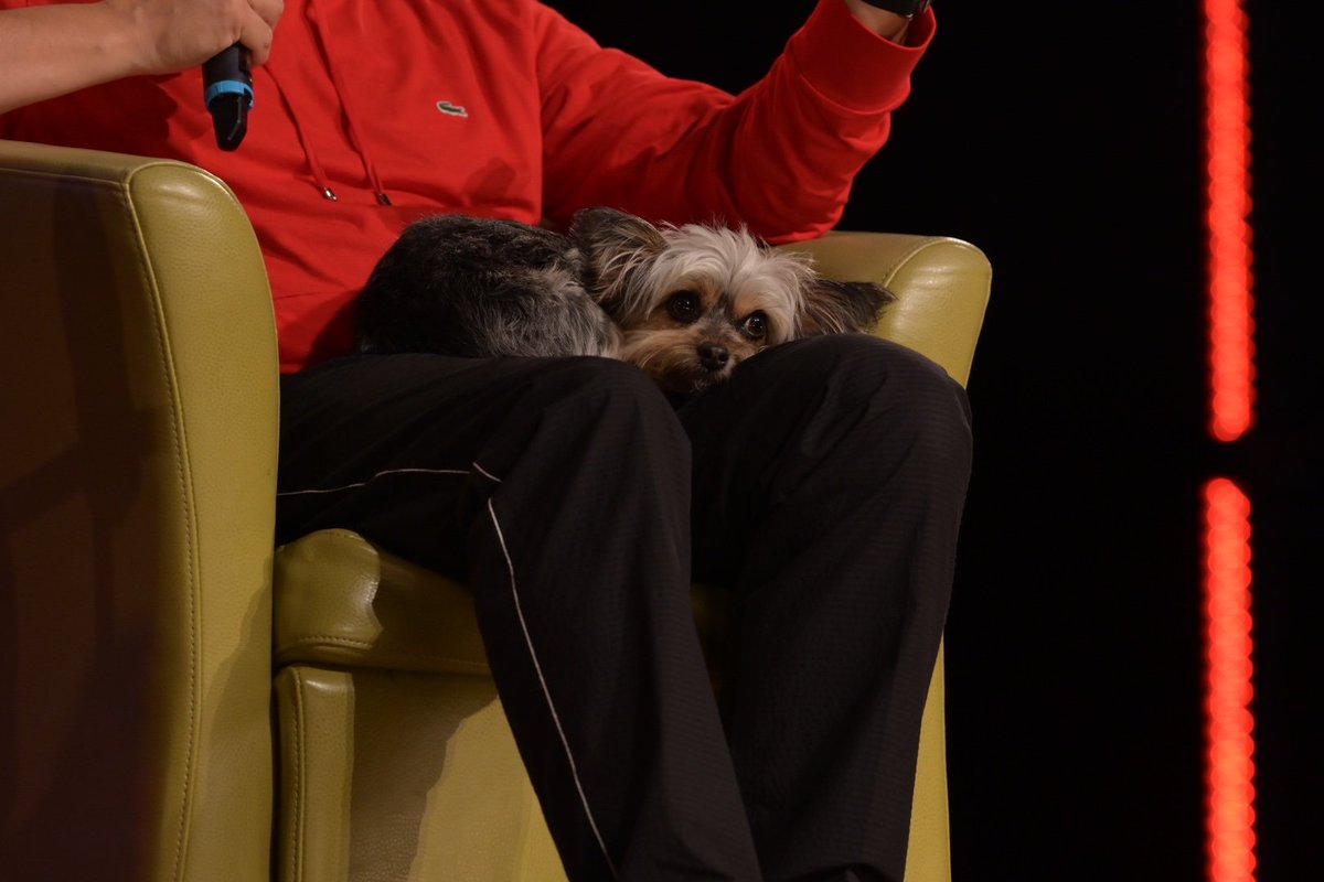 HeroRoundTable's tweet photo. A really wonderful, heartfelt, funny conversation with @Joe_Gatto, the #HeroRT's favorite Impractical Joker who keeps inviting himself back to Michigan year after year. And, of course, Spumoni!
@truTVjokers https://t.co/CtmNEWND2i
