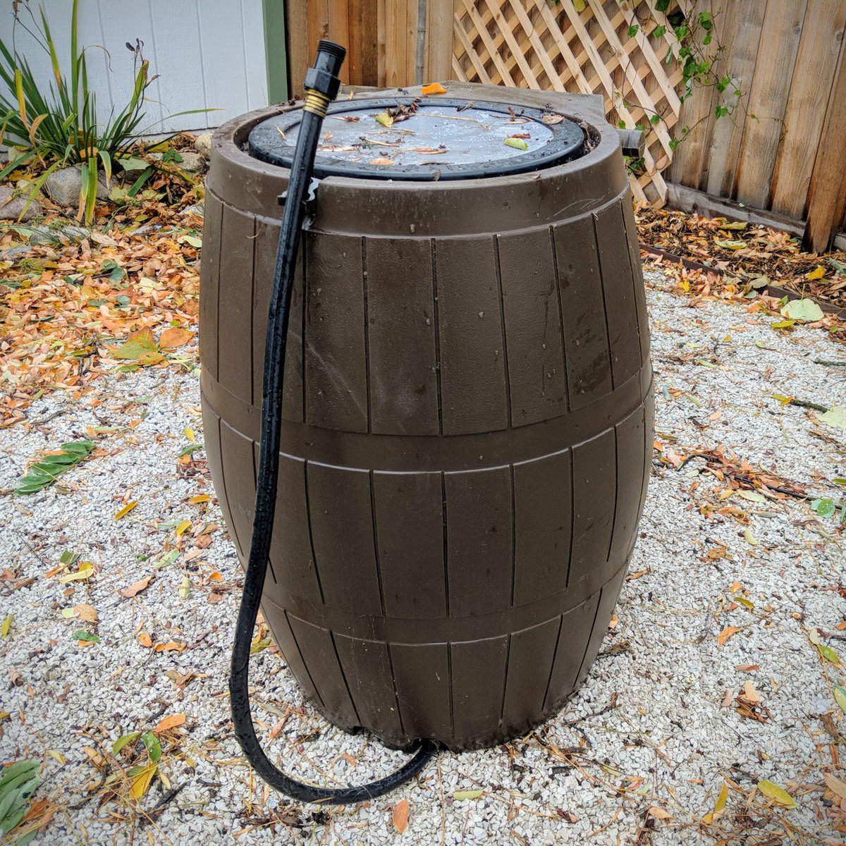 MississippiWMO's tweet image. If you haven't winterized your #rainbarrel yet, it's about that time of year! Don't let the water freeze and damage your barrel. Make sure to drain it, disconnect it from your downspout, remove and clean the components, rinse it out and store it somewhere safe from the elements.