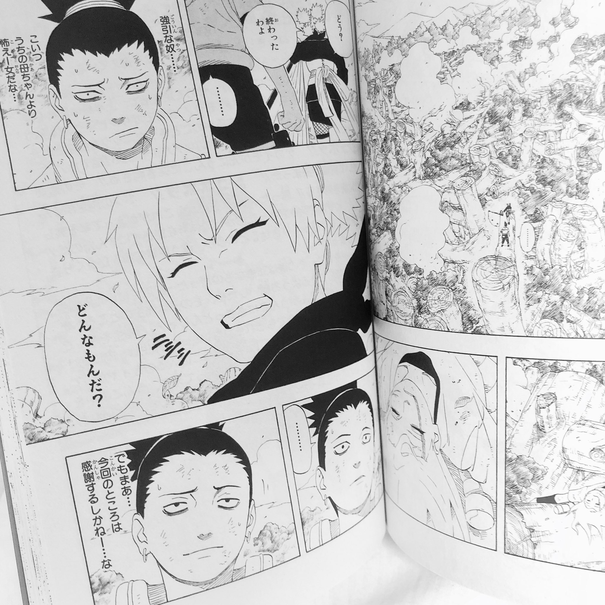 تويتر むぉちゃっ おみお على تويتر この21巻と24巻の何気ない伏線回収めっちゃ好きだな ｷｭﾝ ナルト Naruto シカテマ T Co Ddr5h9utrp