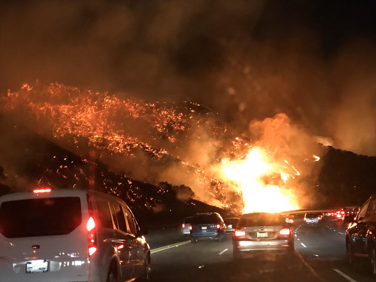 tweetadeleine's tweet image. 