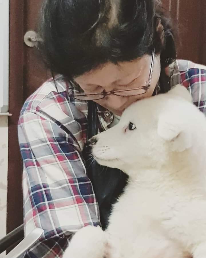 NamiKim_DogsSK's tweet photo. $10 New Member Shopping Bonus! Join by 10/31, when you make your first purchase by 11/15 we'll give you an extra $10 bonus for #SaveKoreanDogs USA Foundation, Inc.. ➡️ https://t.co/B3z6VGJp3C #iGiveDoYou https://t.co/Q5y6wxuoJ1