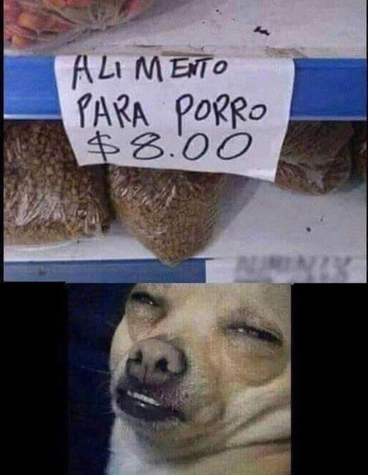 SuperPichon_'s tweet photo. Para cortar el clima post elecciones. Manden fotos bizarras del chino amigo https://t.co/7xrzaJId8l