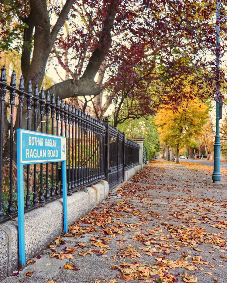 On Raglan Road of an autumn day... 🍂🎶 #Dublin #Ireland #Autumn #raglanroad