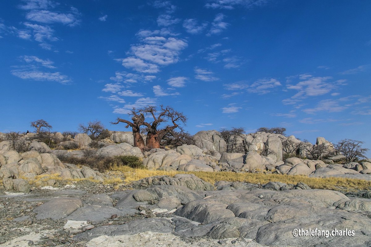 Thalefang's tweet photo. Lekhubu, Makgadikgadi. the cradle of the human kind. If you want to meet your ancestors come here. You'll feel their presence. Researchers finally discovered that "Botswana is the cradle of life for everyone alive today #Botswana 🇧🇼 #CradleOfHumanKind #HumansOrigin #AncestralLand https://t.co/mkC1D1Z4w4