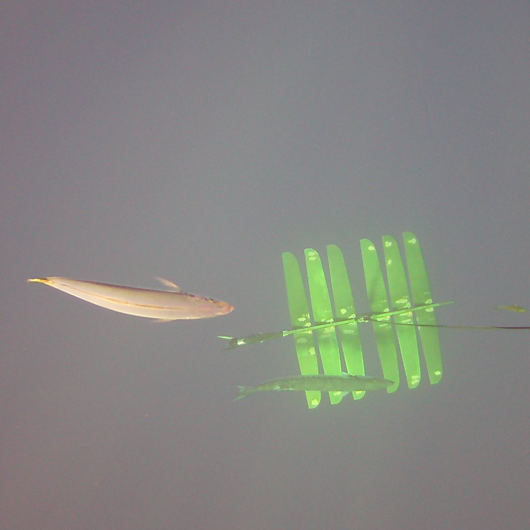 Jupiter Research Foundation tweet media