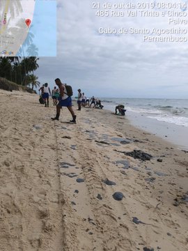 View image on Twitter