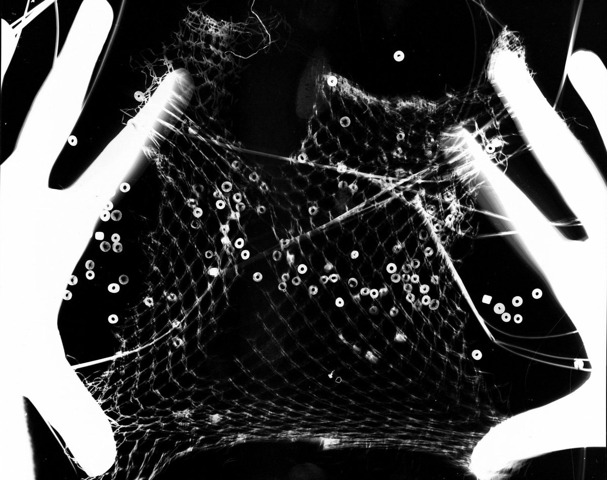 am_creatrix's tweet image. one of three in “turmoil” photogram series 📷
#AMcreatrix✨👓