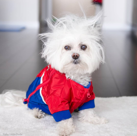 Pass me the dry shampoo!!!!