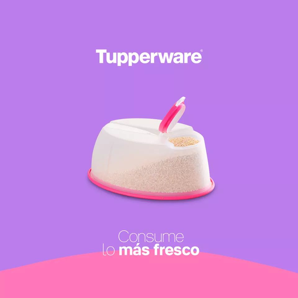 TupperPorto's tweet photo. ¿Sabías qué los Modulares Millenium tienen el innovador sistema PEPS?
Significa Primeras Entradas, Primeras Salidas, quiere decir, que lo primero que pusiste será los primero que consumas.
Pedidos en Portoviejo y todo Manabí al celular, vía WhatsApp: 0982420093  #Tupperware https://t.co/ctI7dXBE9h