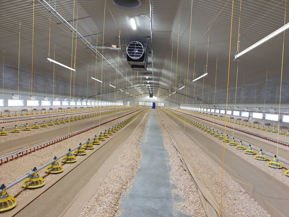 Poultry Care and Support tweet media