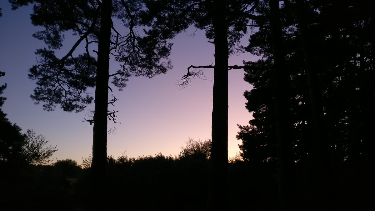 The Monitors (@themonitorscom) on Twitter photo New playlist: Last month's best new music, featuring <a href="/gruffingtonpost/">Gruff Rhys</a> & <a href="/muziou/">Muzi 🇿🇦</a>, <a href="/skyzoo/">Skyzoo</a> & <a href="/PeteRock/">PETEROCK.COM</a>, <a href="/jennyhval/">coke rant</a> & @laurajeanmusic, <a href="/HyperboloidRecs/">Hyperboloid Records</a>, <a href="/SaultGlobal/">SAULT</a>, <a href="/MarcBianco/">marc bianco</a> & <a href="/folamourbb/">Folamour</a>, @CCHELSEAWWOLFE, <a href="/Thebadplus/">The Bad Plus</a>, <a href="/Sampa_The_Great/">Sampa The Great</a>, <a href="/mahalia/">mahalia</a>
& more:
open.spotify.com/playlist/1s9Vn… New playlist: Last month's best new music, featuring <a href="/gruffingtonpost/">Gruff Rhys</a> & <a href="/muziou/">Muzi 🇿🇦</a>, <a href="/skyzoo/">Skyzoo</a> & <a href="/PeteRock/">PETEROCK.COM</a>, <a href="/jennyhval/">coke rant</a> & @laurajeanmusic, <a href="/HyperboloidRecs/">Hyperboloid Records</a>, <a href="/SaultGlobal/">SAULT</a>, <a href="/MarcBianco/">marc bianco</a> & <a href="/folamourbb/">Folamour</a>, @CCHELSEAWWOLFE, <a href="/Thebadplus/">The Bad Plus</a>, <a href="/Sampa_The_Great/">Sampa The Great</a>, <a href="/mahalia/">mahalia</a>
& more:
open.spotify.com/playlist/1s9Vn…