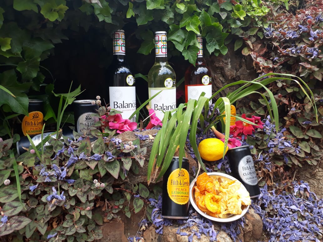 FamousGouws's tweet photo. For every Bottle sold, a contribution is made to fund the Elephant Human Relations Aid, if this is not a good reason to drink @BalanceWines I don't know what is. #SAVineShare #BalanceCocktails https://t.co/eubyjNJDrI