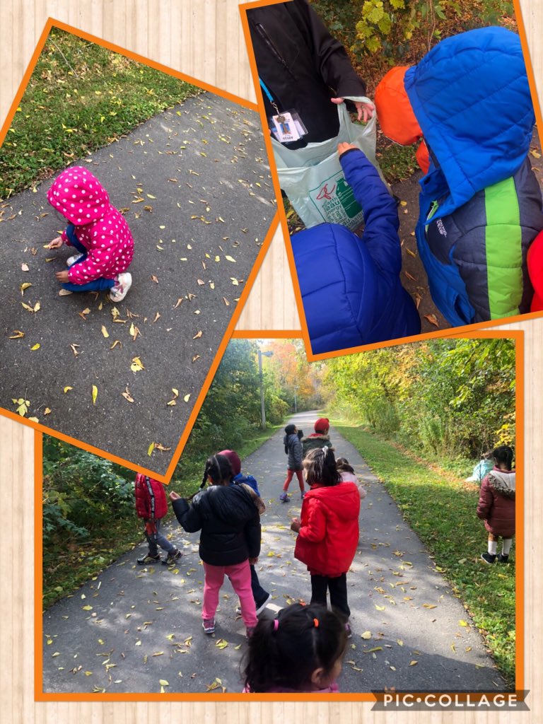 kindieroom103's tweet photo. Collecting and comparing leaves on our fall walk. Lots of great discussions on size, colour, and texture. 🍂🍁🍃 @rjlee_ps https://t.co/pMC6IEGZna