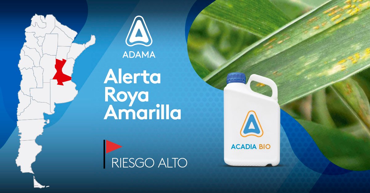 AdamaArgentina's tweet image. ⚠ #Atención #RoyaAmarilla
📍 El último info de AAPPCE advierte también sobre riesgos medios en Córdoba, NEA y NOA de nuestro país. 
📍 Las Regionales Oeste y SE, bajo la misma advertencia.
👉 Obtené un control superior de roya amarilla con #AcadiaBio 🖱 bit.ly/2lSEYYW