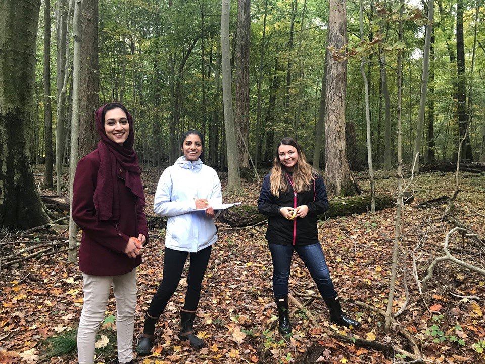 Recently Dr. Jean Burns and her BIOL 351 students collected data at our American beech primary forest. The  information that they collected is part of a long term study to quantify survival and growth of over 1,000 trees!