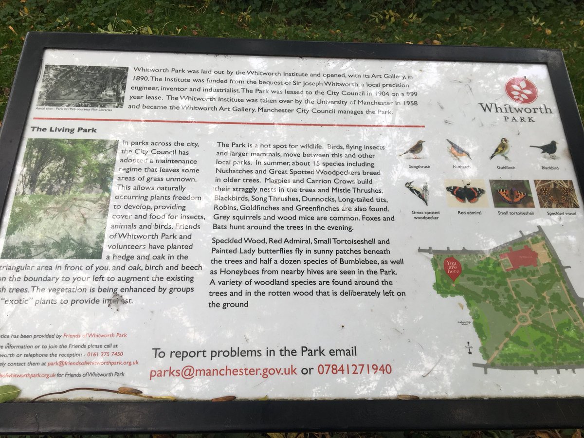 Year3MrsB's tweet photo. A wonderful morning collecting information for our English unit, writing information texts about our local park! We definitely made sure we thoroughly checked out every area! @WhitworthArt @WebsterPrimary #informationtexts #exploration https://t.co/aXV3D2wHtJ