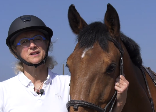 merck_fr's tweet photo. #Médecin de #MPR, passionnée d’#équitation et conceptrice #onStEPs : le témoignage de Cécile Donzé🐎#BoxonslaSEP #ScleroseEnPlaques #Sport https://t.co/2hN7hJL3Ic https://t.co/aELg8fjOnS