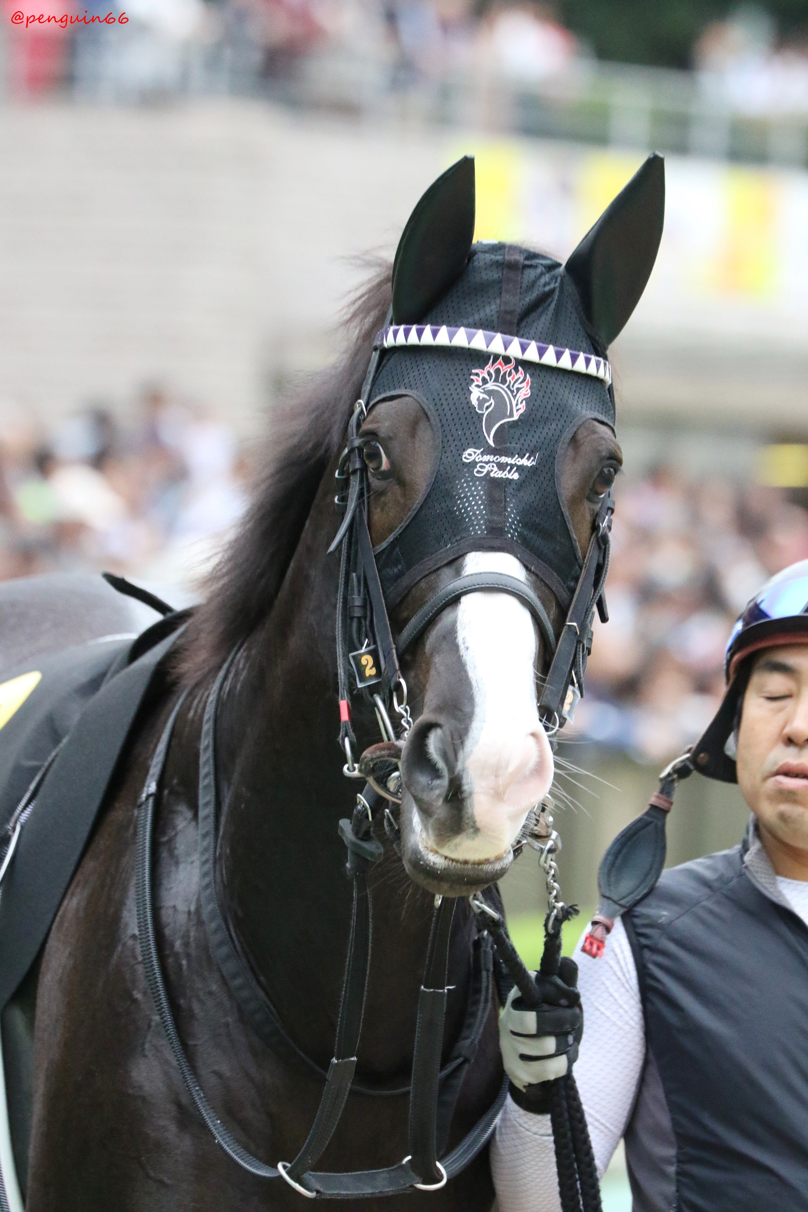 トリコロールブルー Twitter Search Twitter