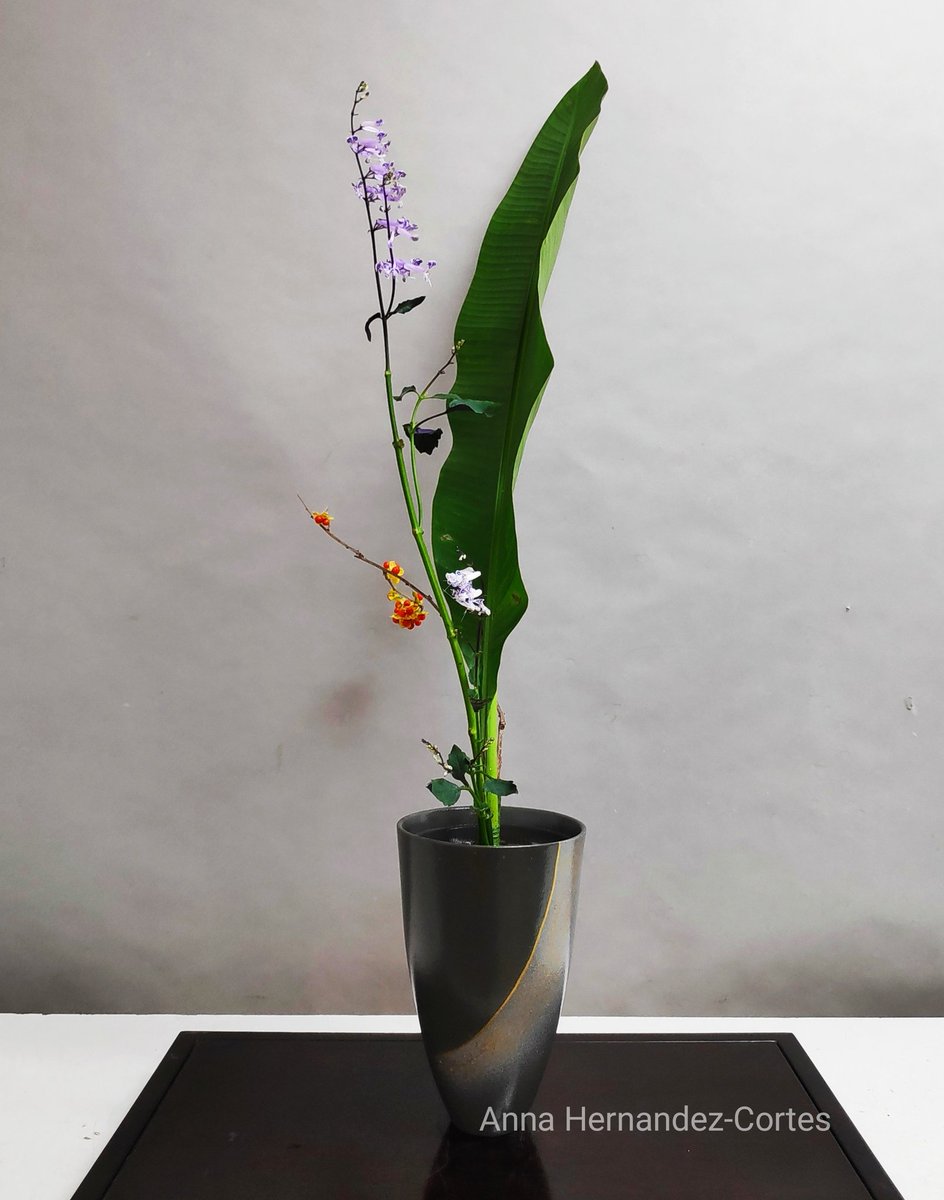 annahernandezco's tweet photo. #masterclass #ikebana @ikenobo550 #bonsaikebana #ikenobo #Japan #Barcelona #harmony #shimputaishoka #shoka #shimputai #floraldesign #floral #green #stopclimaticchange #portalanaturaacasateva #japanfloralarrangement https://t.co/0fIlDGRIkd