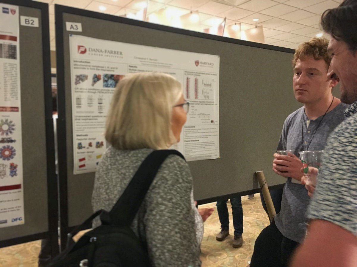 puigserver_lab's tweet photo. Three members of the lab - Pedro Latorre, Elizabeth Perry, and Chris Bennett - presenting their posters at the 2019 #CellBioRetreat. @HarvardCellBio https://t.co/boSMiZ4mpJ