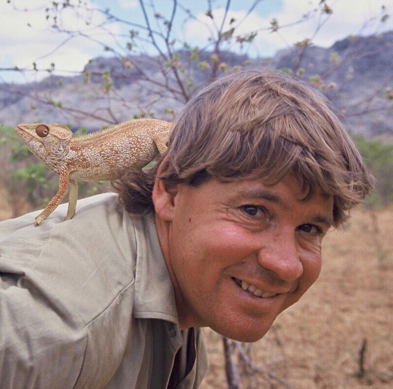 AustraliaZoo's tweet image. Happy Reptile &amp;amp; Amphibian Awareness Day! Steve taught the world to love all wildlife fluffy, toothy, cuddly and scaly. Today we are appreciating our more scaly animals because of their importance on our planet🐊🐢🐍🦎🐸💚