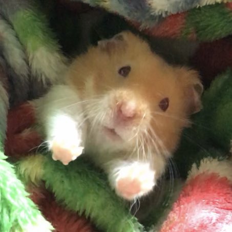 오달라
아니 십달라