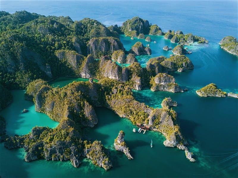 lonelyplanet's tweet photo. David Attenborough's new series will take you on a journey to every continent – https://t.co/bhdthIoXGJ https://t.co/1FuUg4i6ac