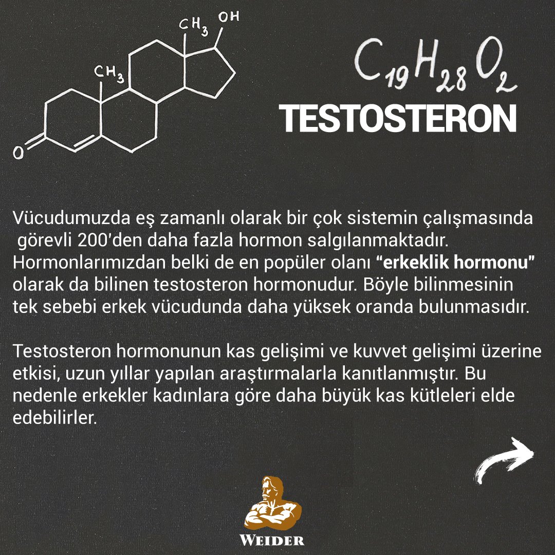 Testosteron hakkında söylediklerimizi ciddiye almalısınız ❗ #testosteron ht...