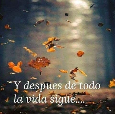 Albaysandra's tweet photo. #YDespues... https://t.co/aCixKwJPgn