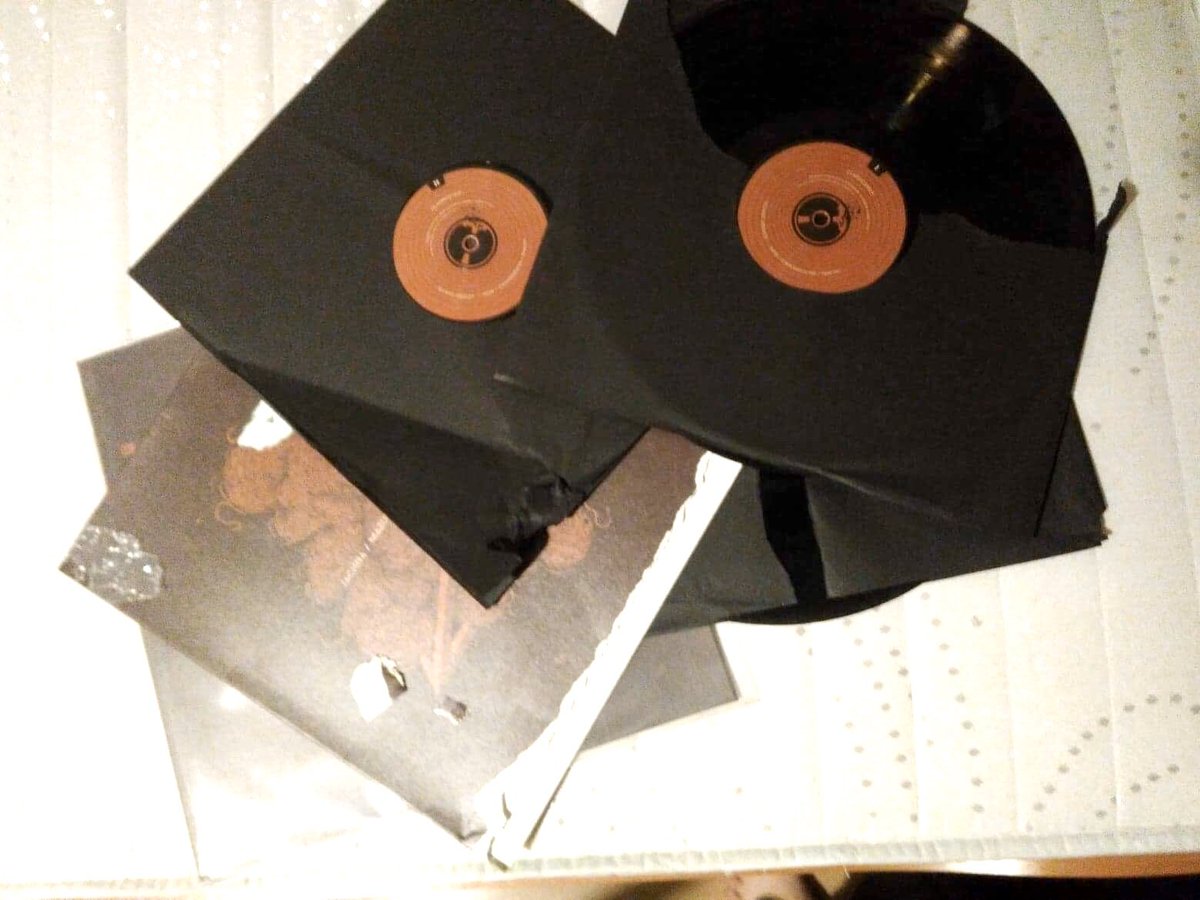 3FoNIA's tweet photo. #vinyl + #dog = ..... #JMB 🤪 https://t.co/lnZaP3IugS