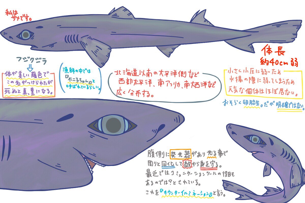 EHaFikBUEAIMUJQ.jpg?format=jpg