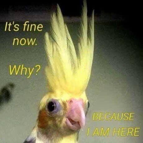 MangaThrill's tweet image. Who is this? 🤔