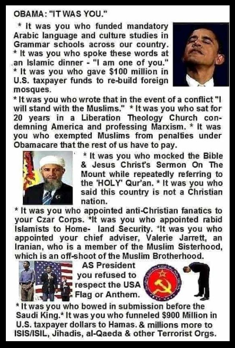 Michiganer's tweet photo. ALL THIS AND YET THE #Libs & #DEMS adored him. #noobama #maga #Trump2020 #politics https://t.co/XAFLsIHcdQ