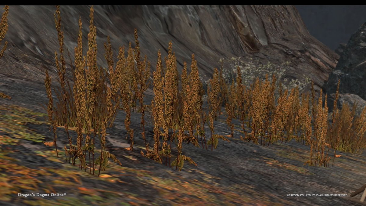 晴巻 アッカーシェランのウルテカ地方 花だか実だかのツブツブが密集した草の色違い発見 今まで見たのは暗い紫っぽい色で これは濃い黄色 王家の墓前には白いハルジオン 盗賊のアジトにあるプランターの花は誰がお世話してるんだろう Ddon