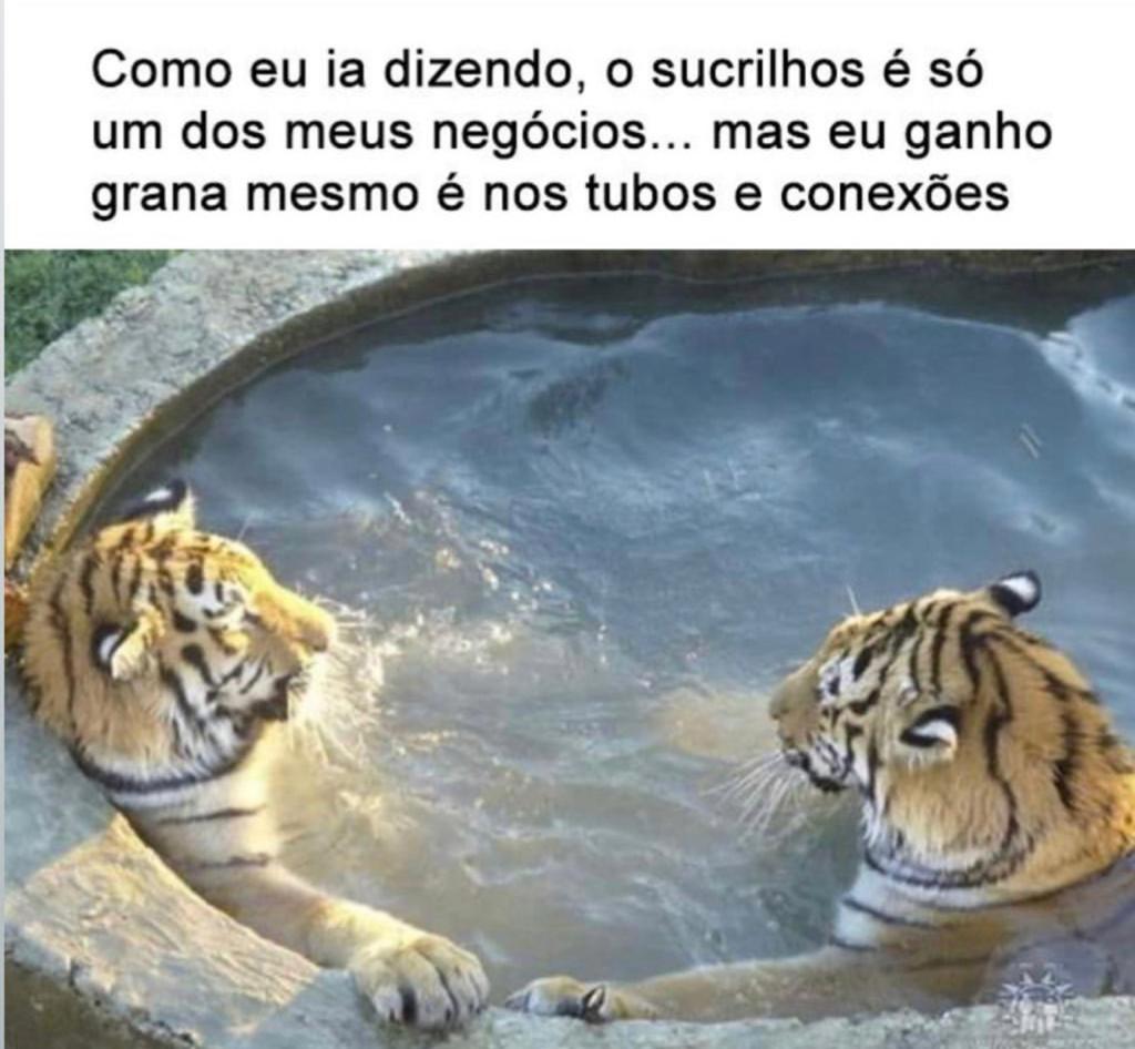 CorjaNossa's tweet photo. #negocio #Businesses #comercial #b2b https://t.co/ZDrTc9NnlI