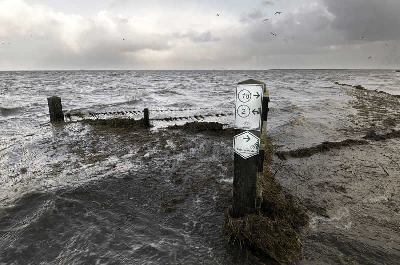 Een minister, kardinaal, hoogleraar en auteur hebben het over de stijgende zeespiegel en de impact hiervan op de Wadden. Weten hoe het verdergaat? En hoe het er met de #Wadden voorstaat? Kom dan op 5 november naar <a href="/DeBalie/">De Balie</a> in Amsterdam. Zien we je daar? bit.ly/35IorJl