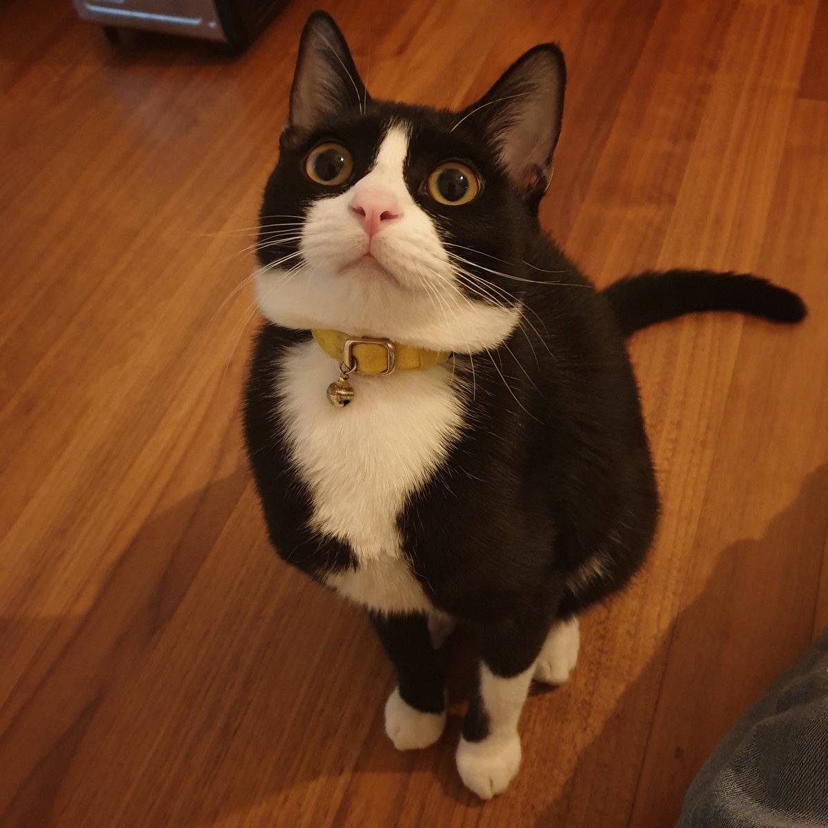 안녕하새오 양땡식임미댜