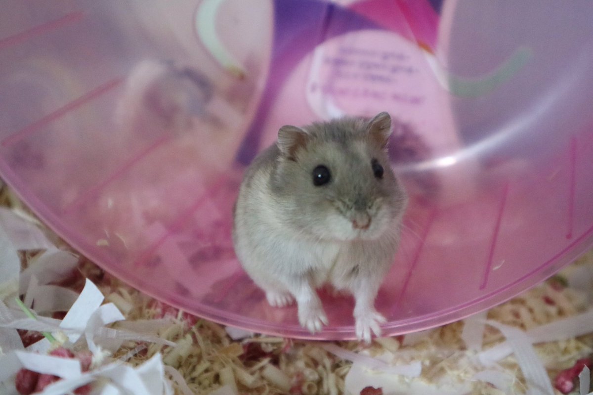 외장하드 날아가는 줄 알았는데 복구해서 찌니 어릴때 사진 간만에 봄... ㅠㅠ