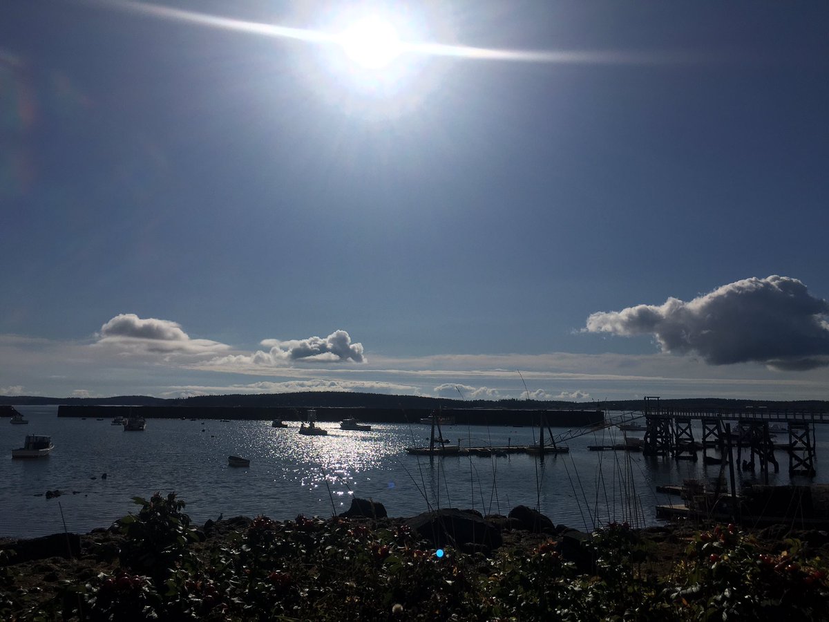 Happy Monday, Jonesport!

We are back at the municipal pier today through Wednesday (10/21-10/23) from 10am-5pm.

It is gorgeous weather, so come over and say, “Hi!”