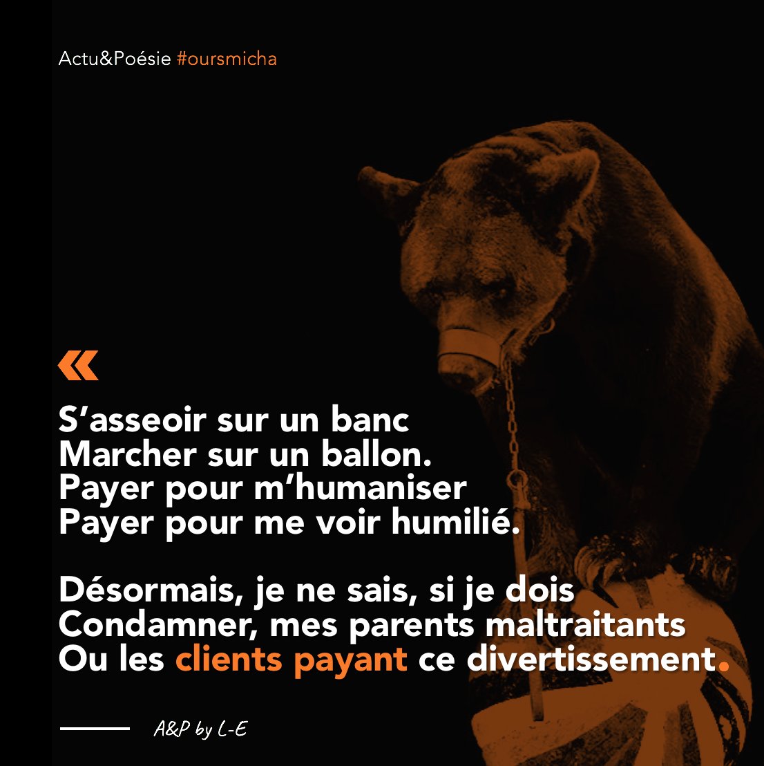 actuetpoesie's tweet photo. Malgré des problèmes de santé, l’ours Micha a été donné en spectacle  durant plusieurs années. 
Après les signalements, Élisabeth Borne, la ministre de la Transition écologique et solidaire à interdit la présentation au public de l’ours Micha. 

#stopcirque #animauxsauvage https://t.co/p8gVtbtuBV