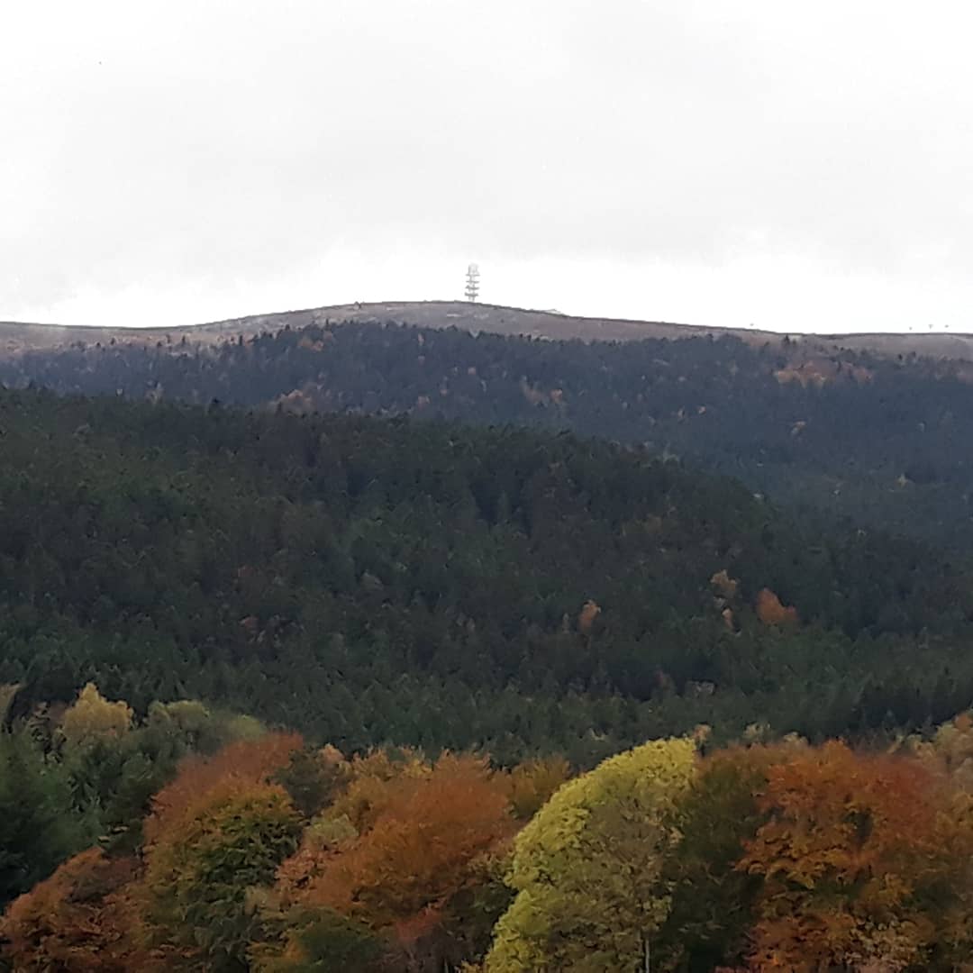 sa_papy's tweet photo. Le col du Beal 
La pierre sur Haute 
#loire #auvergnerhoneaples https://t.co/3g2tez1fc0