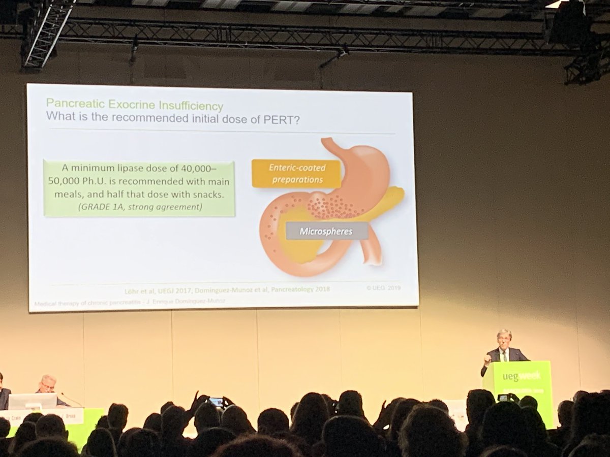 JulioIglGar's tweet photo. @EDominguezMunoz explaining medical therapy for chronic pancreatitis at #UEGW2019 #UEGWeek #UEGWeekLive @gastrochus @my_ueg https://t.co/9LfEb2qLn3