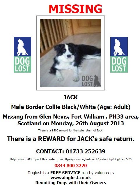 gelert01's tweet photo. ‼️#GLENNEVIS #FORTWILLIAM #PH33 #SCOTLAND‼️ 26/08/2013 

MISSING #JACK  BLK &amp; WHT BORDER COLLIE 

💰FINDERS FEE💰FOR THE SAFE RTN OF #JACK 

https://t.co/PYu5kGJ29f https://t.co/ggd8wgFPOw