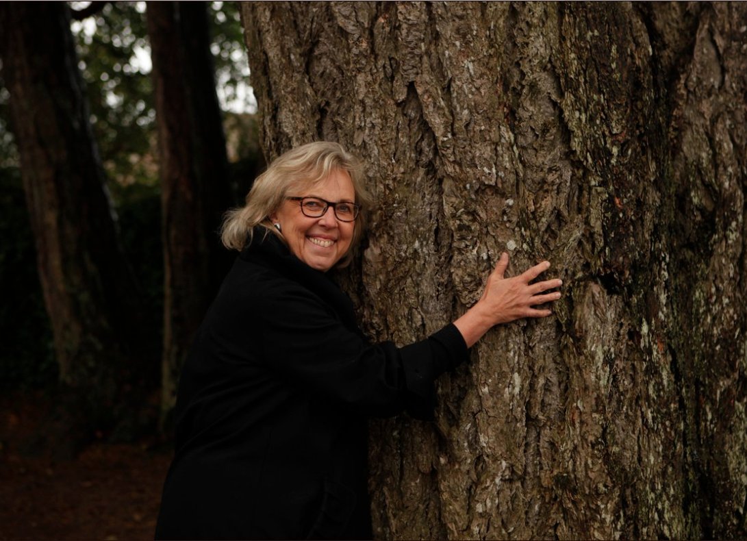 Green Party of Canada tweet media