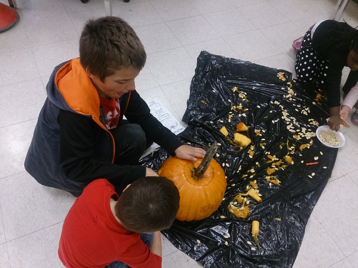 David T. Anderson tweet media