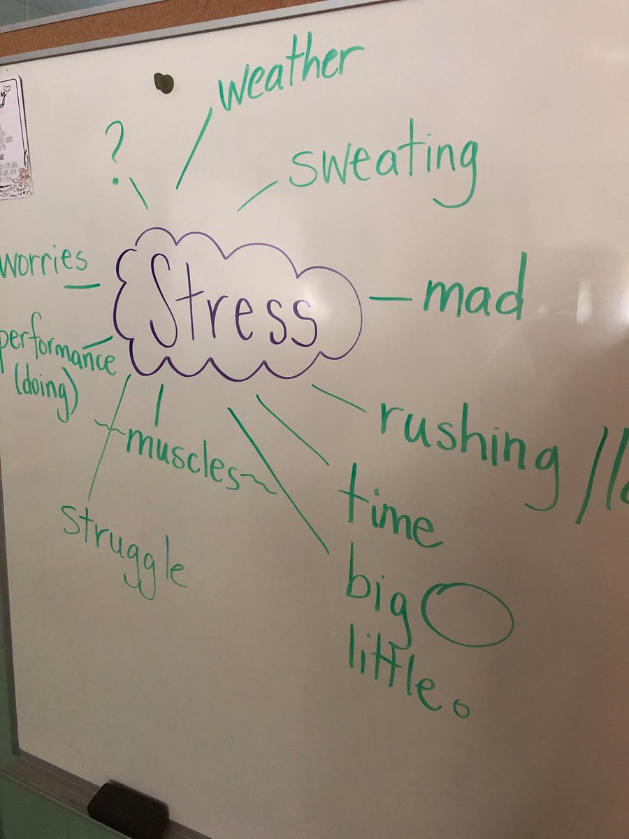 Today Ms Stanton <a href="/LeanneDStanton/">Leanne Stanton</a>  from the SEL team came in to find out a little about us and what are somethings that might cause us stress #ocsbSEL #ocsbBeWell #ocsbSpecEd