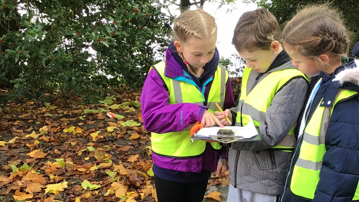 Roundhay Year 4 tweet media