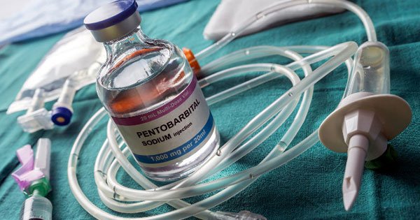 RcsSalute's tweet photo. OMCeO Parma, No a un suicidio “medicalmente” assistito: “Il medico lenisce il dolore, non uccide”. @anell_f : "Il medico non abbandonerà il paziente e non compirà l’atto fisico di somministrare la morte".➡️https://t.co/r5bNbiXsIL https://t.co/OHmnUxyfM6