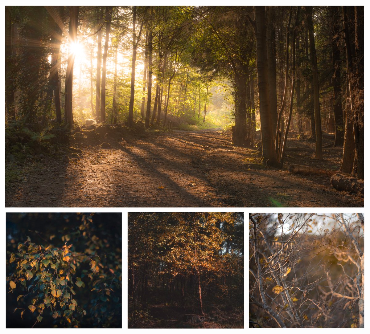 This week has been super busy as we've gone down to #EGX to show #YesYourGrace so here is a selection of my favourite images from this autumn so far!

#fsprintmonday #WexMondays #Scotland