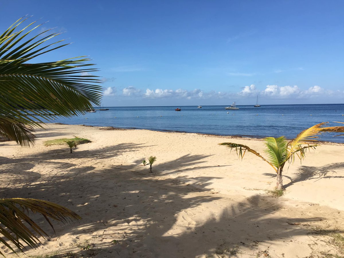 TourismNevis's tweet photo. Hello fans! Magic Monday
#Sun #CaribbeanBeaches #PerfectAtmosphere #NevisNaturally #Nevis
PC: Nick Steel https://t.co/Zha4LHwezF